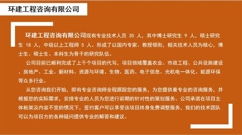 武汉项目运营方案可以做的公司