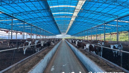 “金融活水”！习水农商银行助力小微企业“破茧重生”