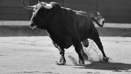 1997年属牛人2025年财运解析