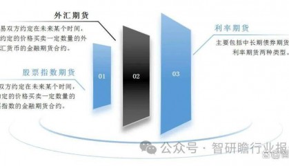 中国金融期货市场深度调研及投资前景预测报告