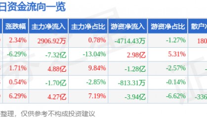 股票行情快报：江淮汽车（600418）8月28日主力资金净买入2906.92万元