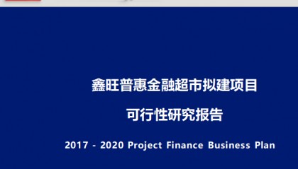 鑫旺普惠金融超市拟建项目可行性研究报告(二)