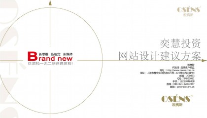 欧赛斯奕慧投资互联网金融网站建设建议方案