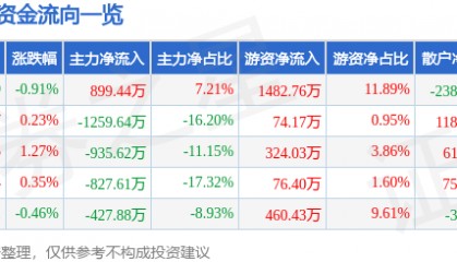 股票行情快报：徐家汇（002561）8月13日主力资金净买入899.44万元