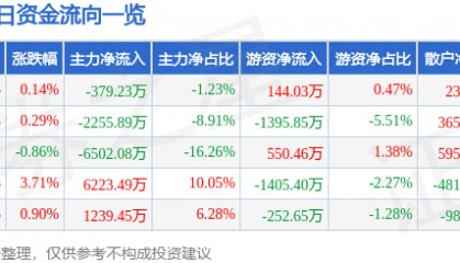 股票行情快报：大洋电机（002249）8月11日主力资金净卖出379.23万元