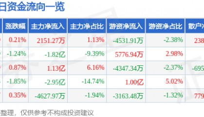 股票行情快报：江淮汽车（600418）8月13日主力资金净买入2151.27万元