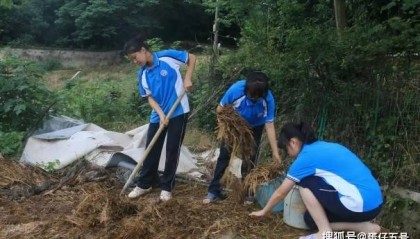 芜湖市无为市叛逆青少年素质教育学校
