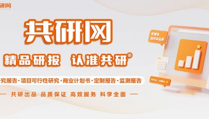 2025-2031年中国金融科技行业调查与投资前景报告