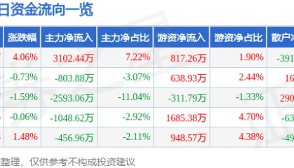 股票行情快报：双环传动（002472）6月24日主力资金净买入3102.44万元