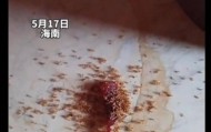 孩子零食肉干掉地上，蚂蚁吃完全死了！网友热议