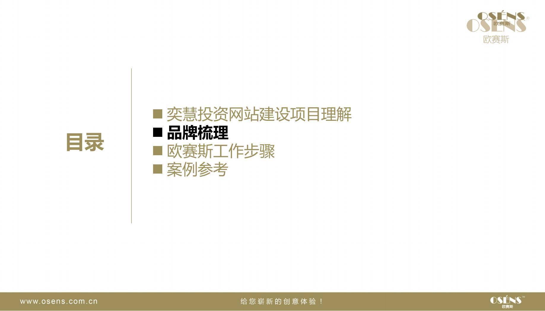 欧赛斯奕慧投资互联网金融网站建设建议方案