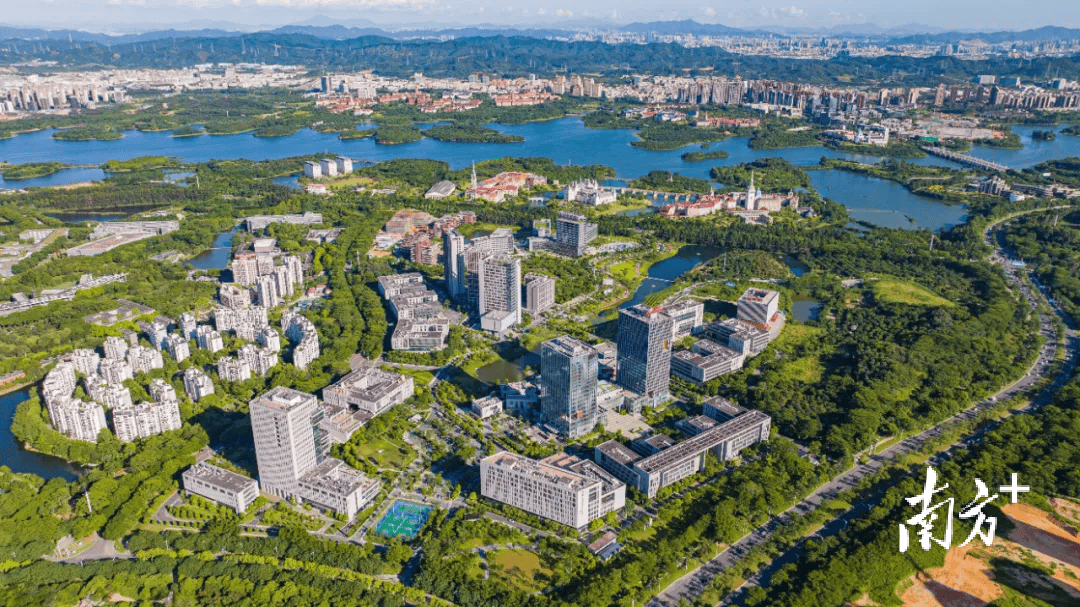 首季金融数据亮眼！松山湖财政金融联动赋能实体经济