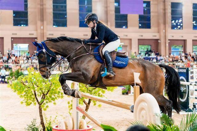 顶级国际马术赛事首次落户武汉，547对人马“飞跃”英雄城