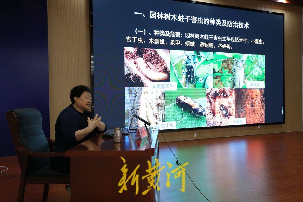 滨州市举办2025年夏秋季园林养护培训工作会议