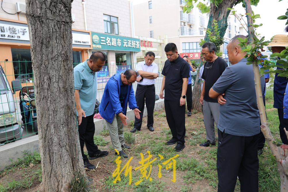 滨州市举办2025年夏秋季园林养护培训工作会议
