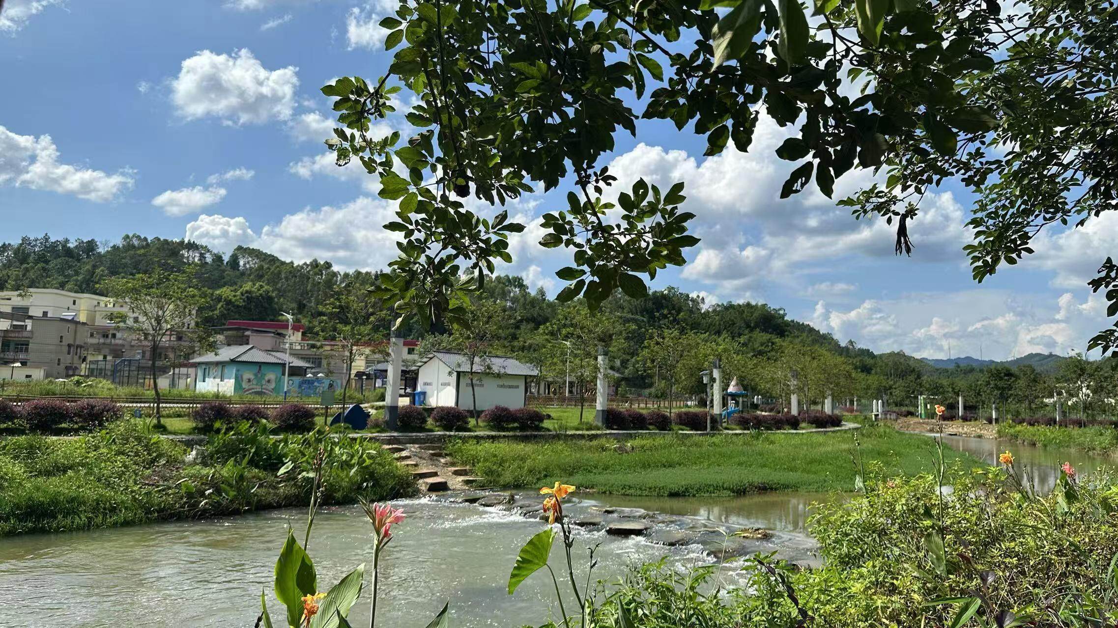 广东金融学院“百千万工程”突击队助力肇庆乡村焕新颜
