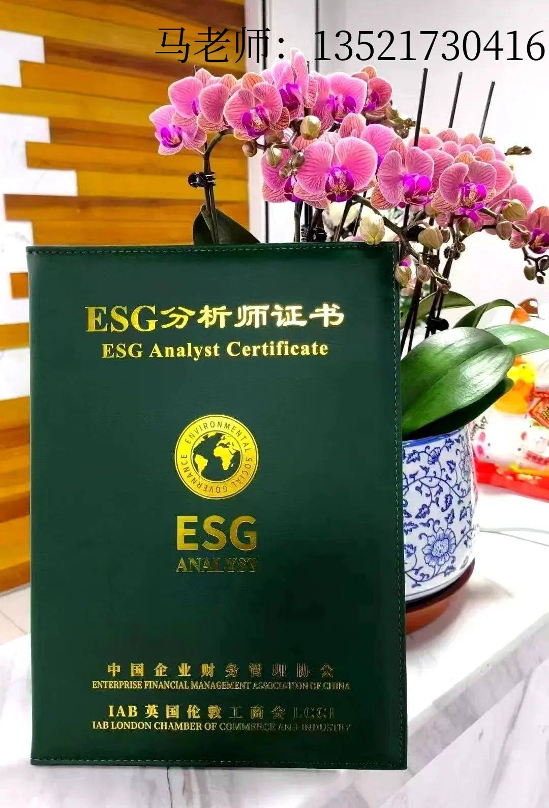 ESG分析师：绿色金融的新兴力量与职业前景