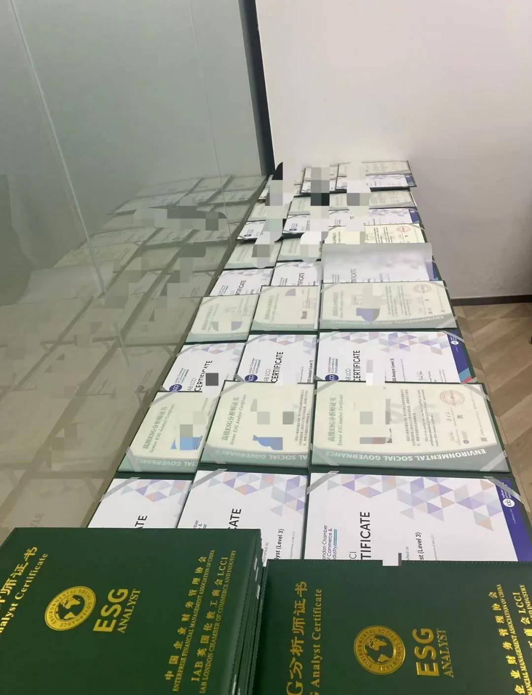 ESG分析师：绿色金融的新兴力量与职业前景