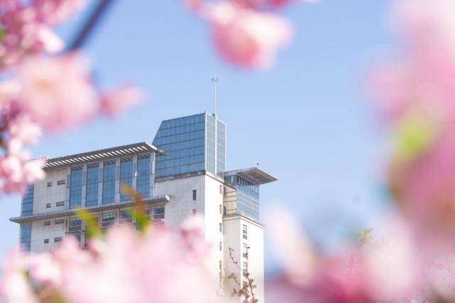 南京财经大学就业怎么样？金融行业薪资全国第一，前景无限！