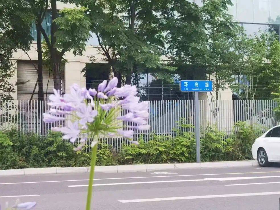从明代的一粒沙到今日的金融岛