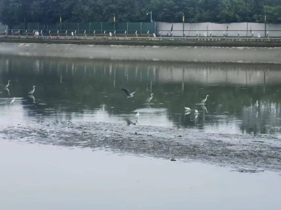 从明代的一粒沙到今日的金融岛