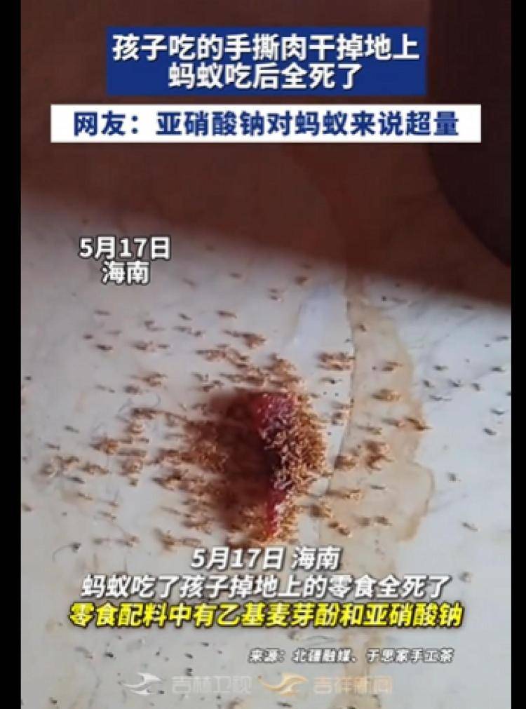 孩子零食肉干掉地上，蚂蚁吃完全死了！网友热议