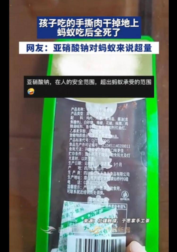 孩子零食肉干掉地上，蚂蚁吃完全死了！网友热议