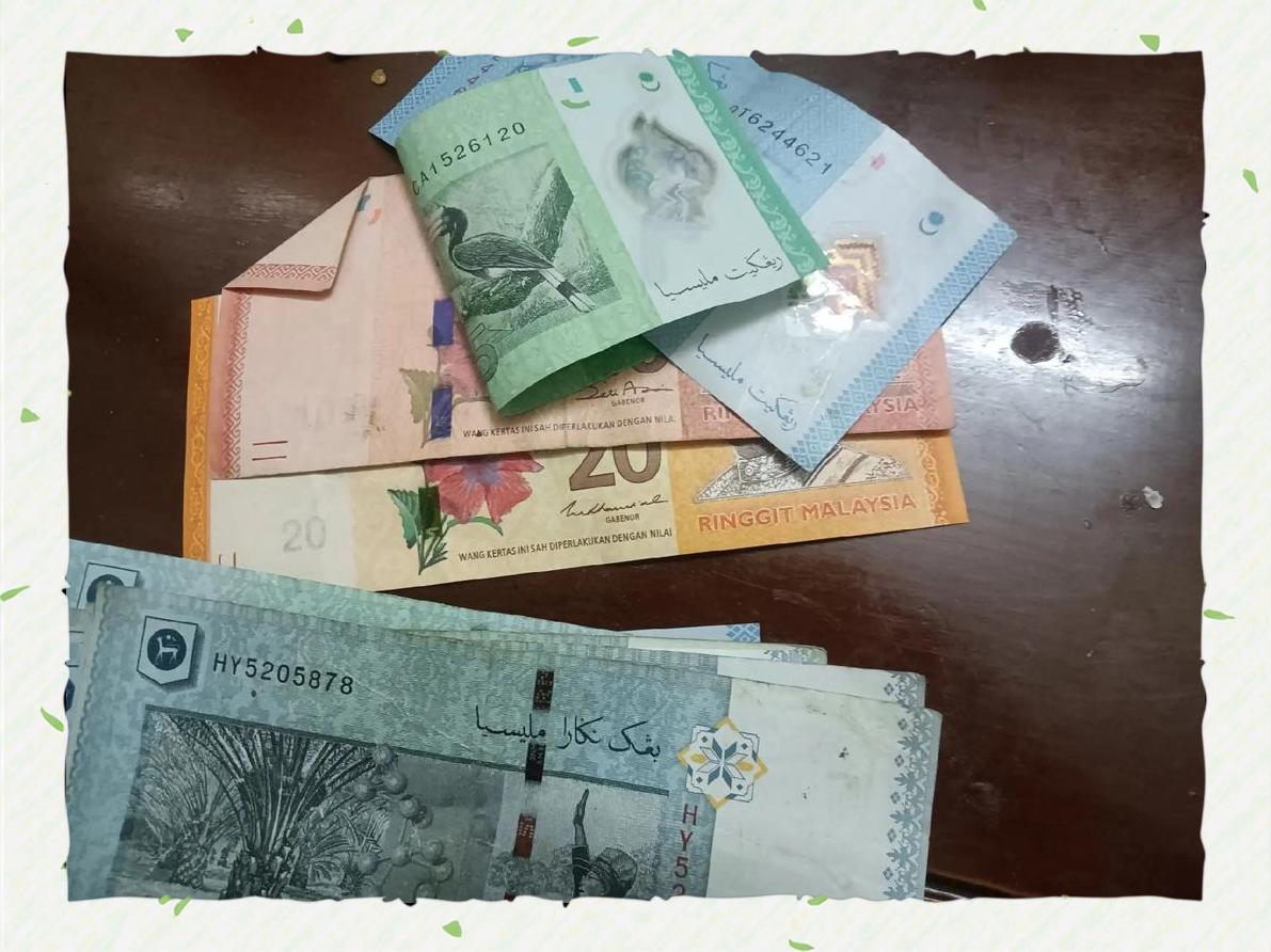 马币虚拟币(马币 虚拟币)